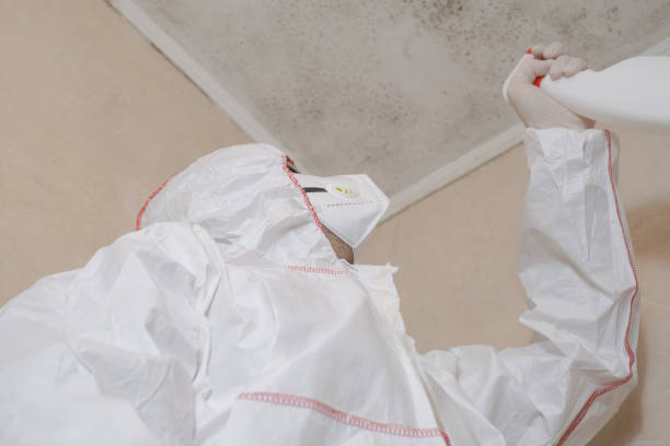 Best Local Mold Removal Service  in Stroville, CA