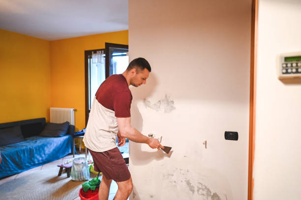 Best Office Mold Removal Services  in Stroville, CA