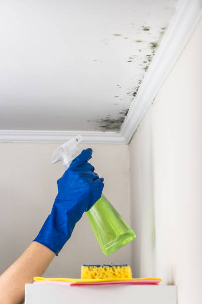 Best Crawl Space Mold Removal  in Stroville, CA